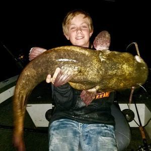 Meet your Posher, Cole